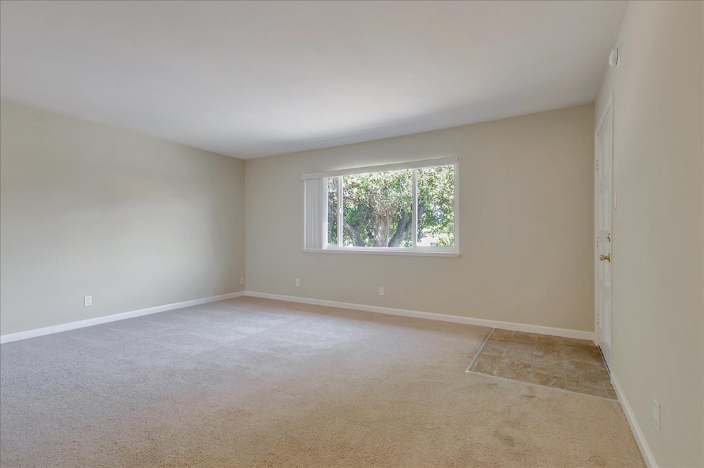 A room with a window and carpeted floor.