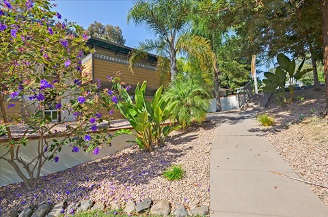 A garden with a pathway, trees, and flowering plants.