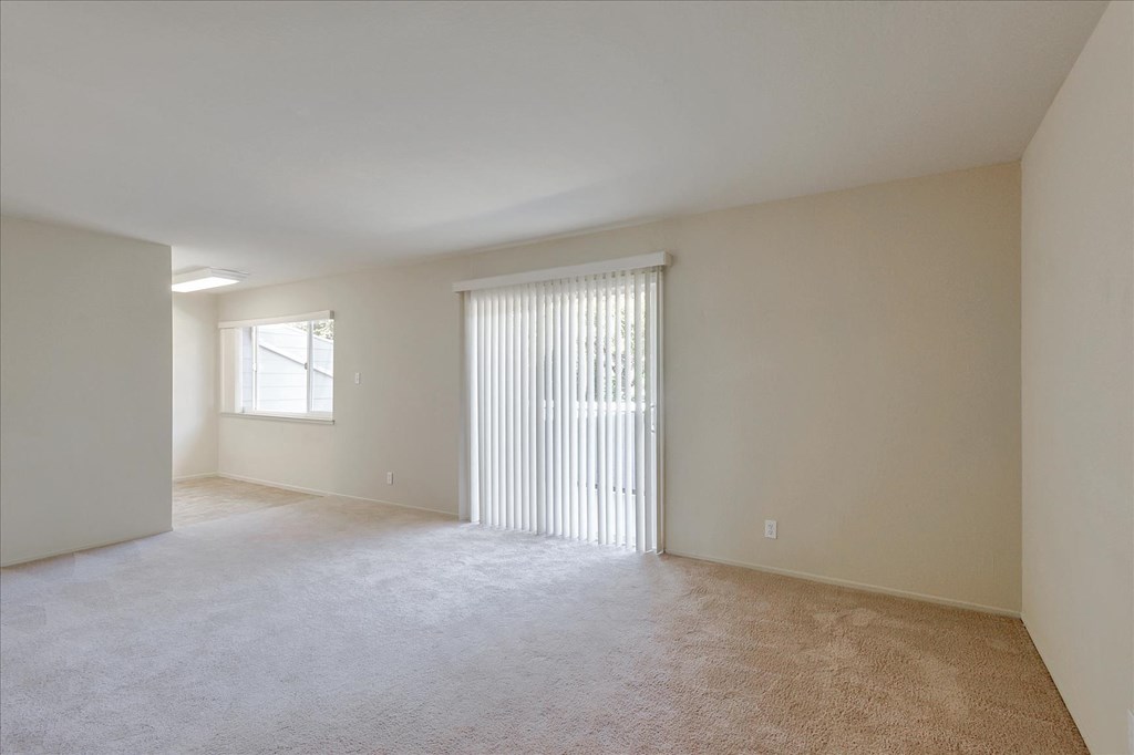 A large, empty room with a window and carpeted floor.