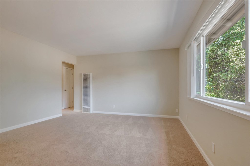 A room with a carpeted floor and a window showing trees outside.