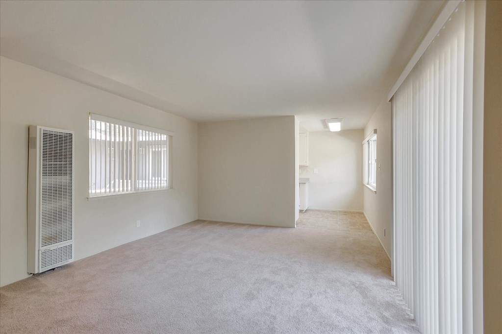 A spacious room with a window and a carpeted floor.