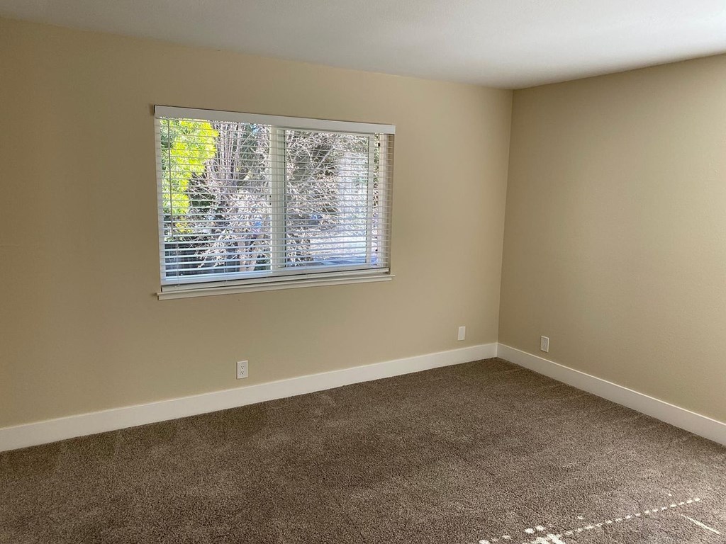 A room with a window covered in blinds and carpet on the floor.