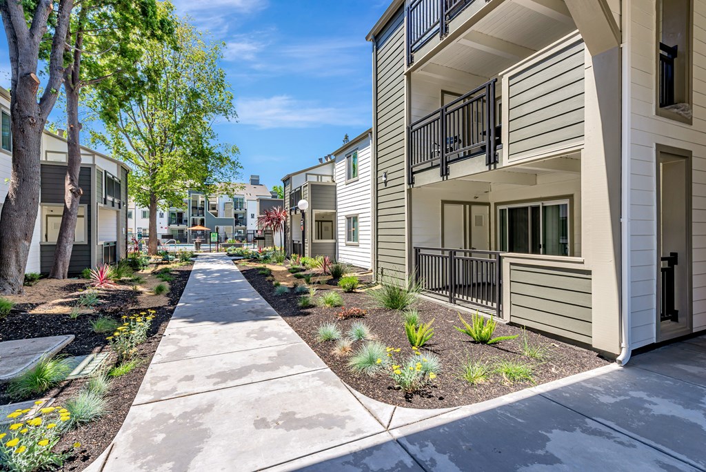 A row of modern townhouses with a sidewalk and landscaping.