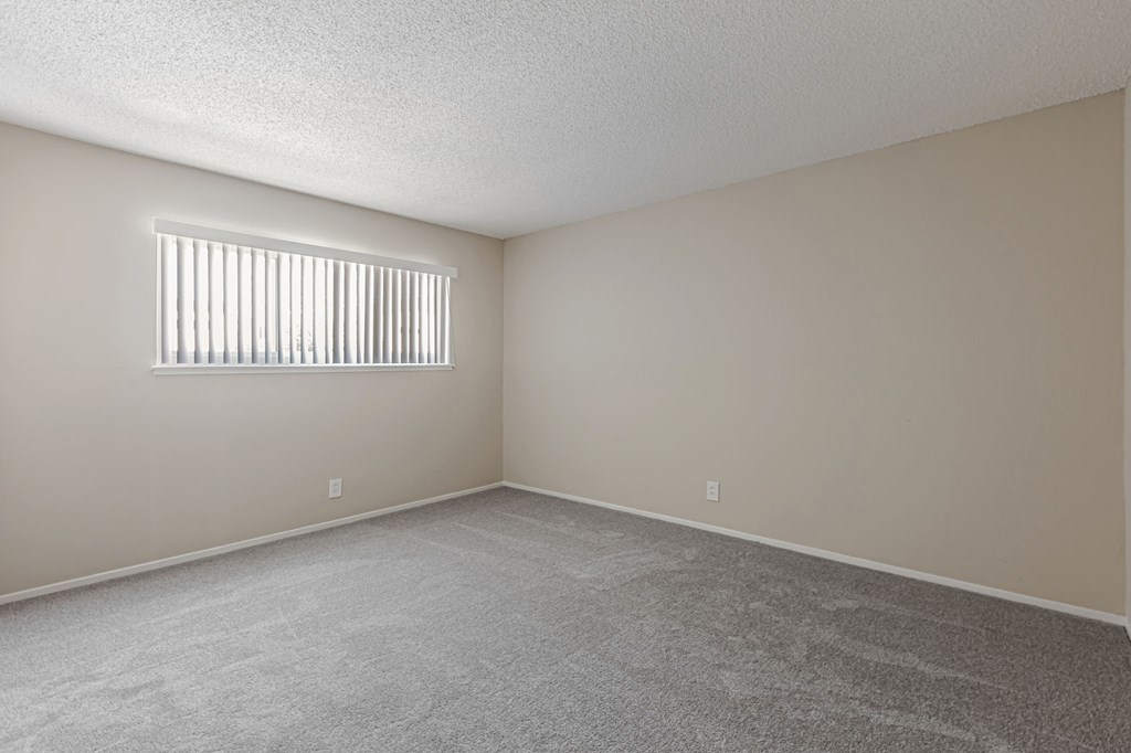A room with a carpeted floor and a window with blinds.