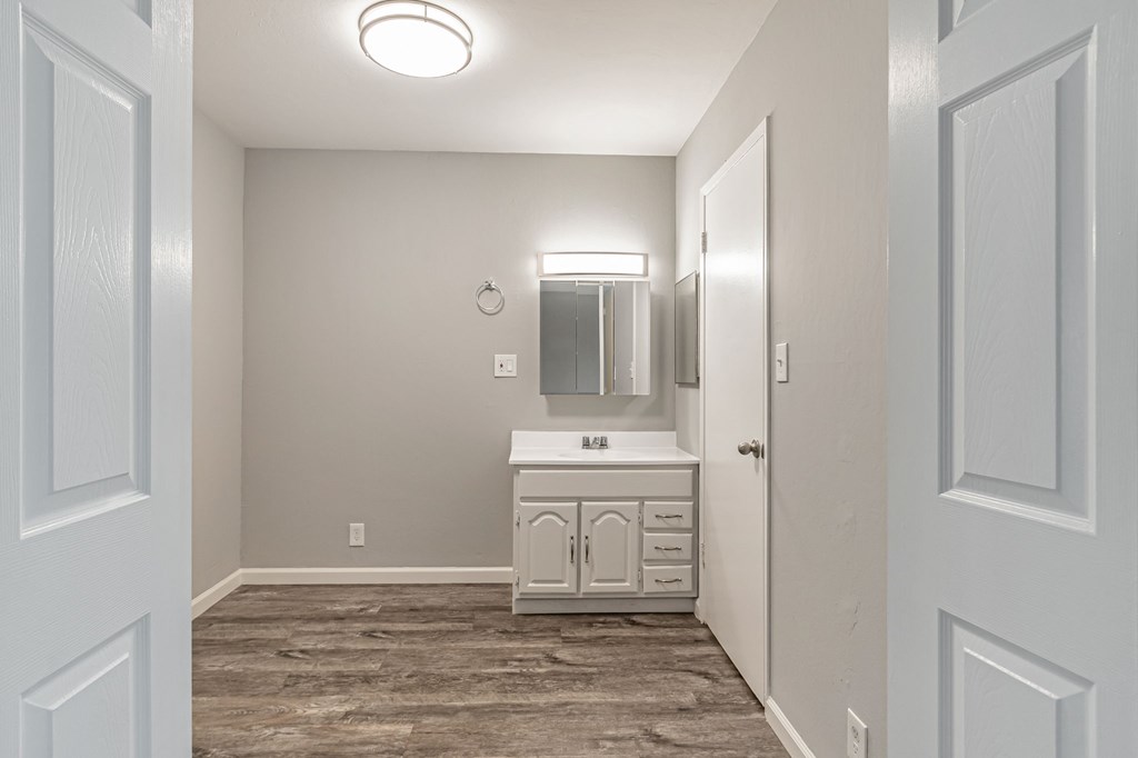 A bathroom with a vanity and a mirror.