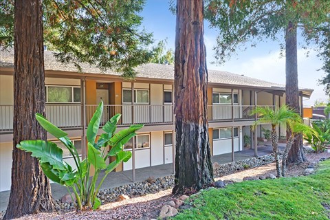 A building with a brown roof and white walls is surrounded by trees.