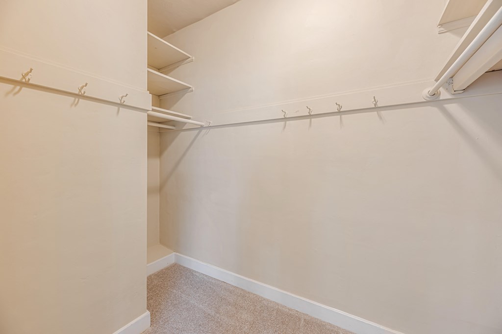 A white closet with a carpeted floor and white walls.