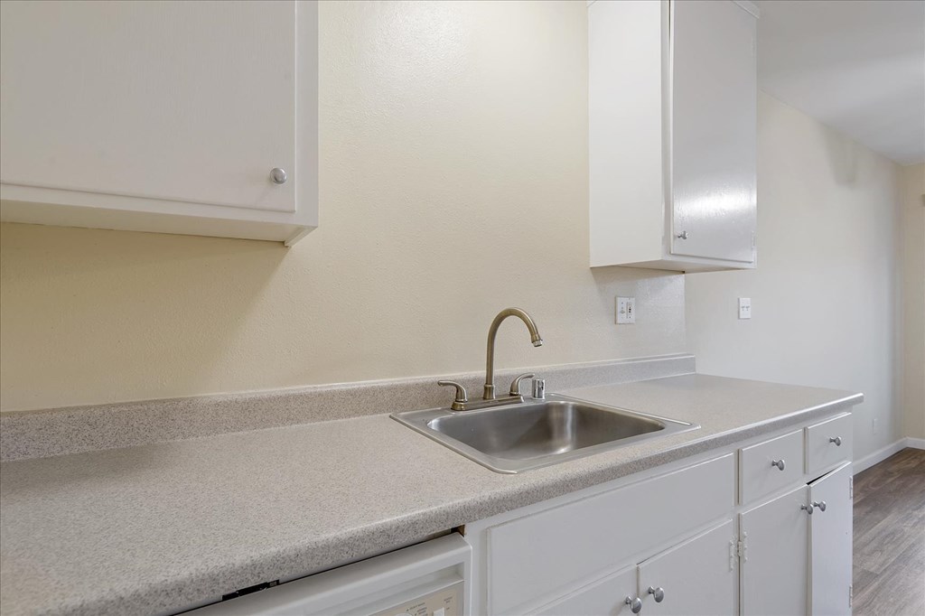 a kitchen with a sink and white cabinets