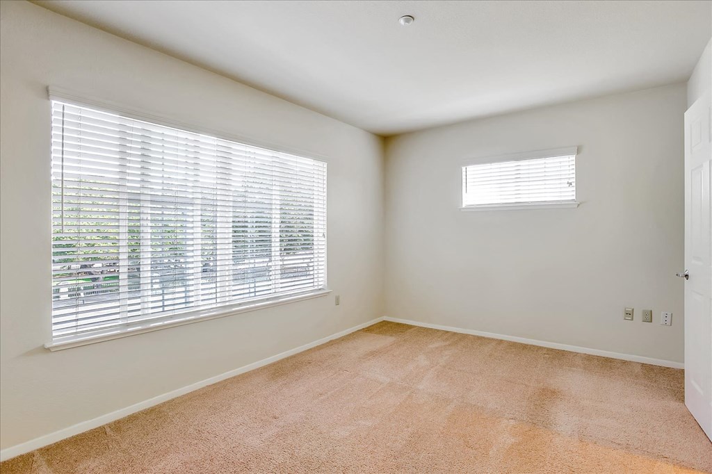 A room with a window and a carpeted floor.