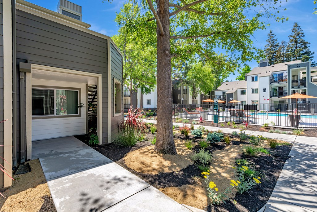 A tree in a landscaped area in front of a building.