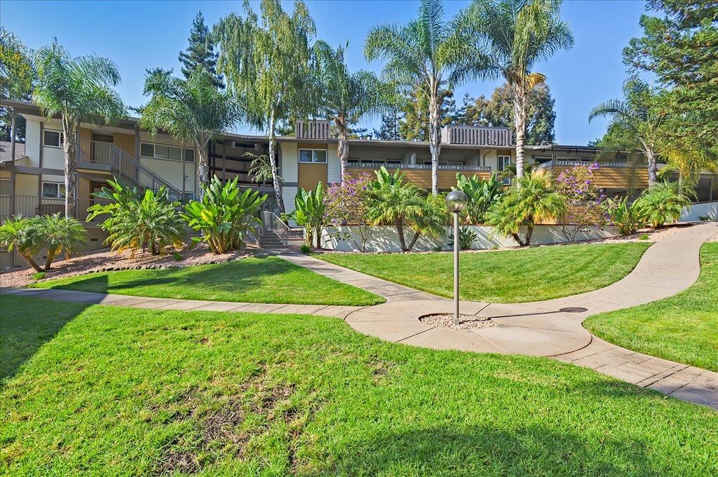 a park with grass and trees in front of a building