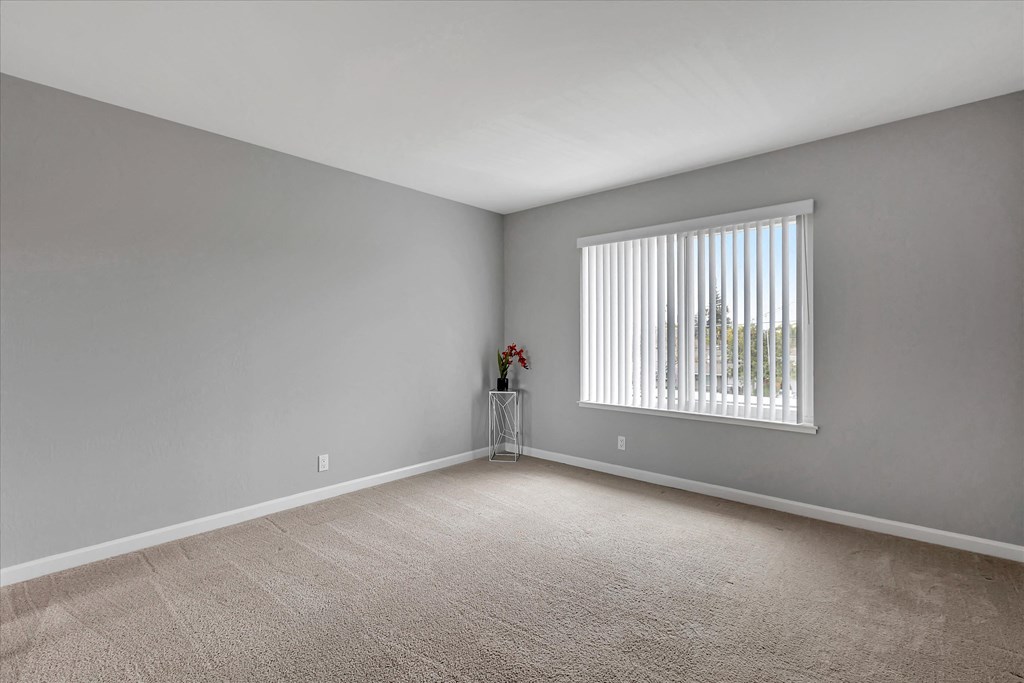 Large bedroom with large window
