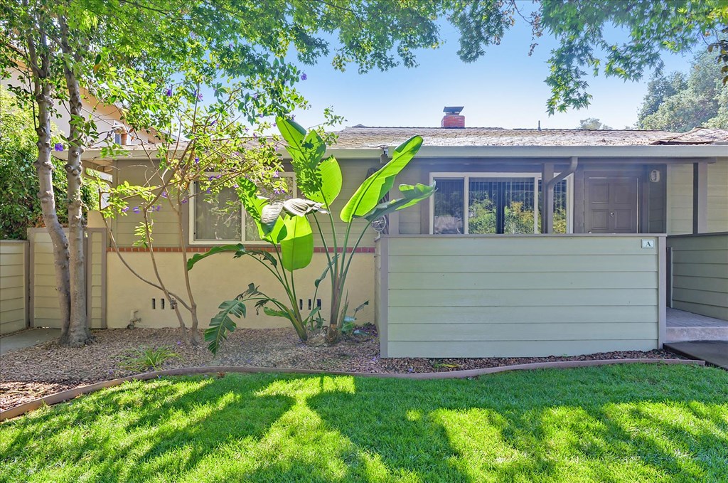 A house with a green lawn and a tree in front of it.