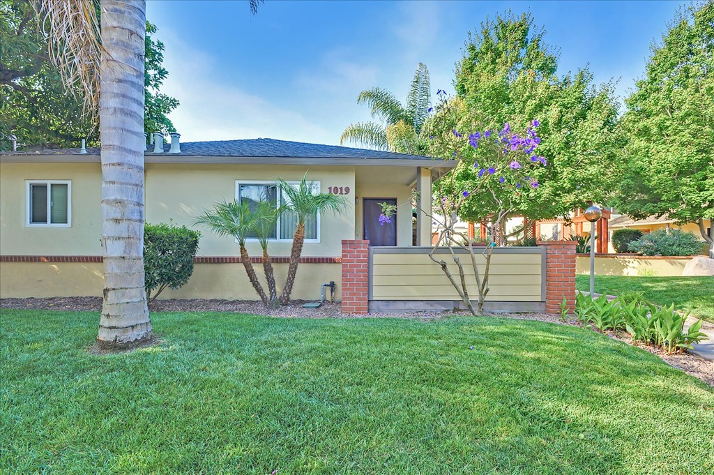 a house with a yard and a palm tree