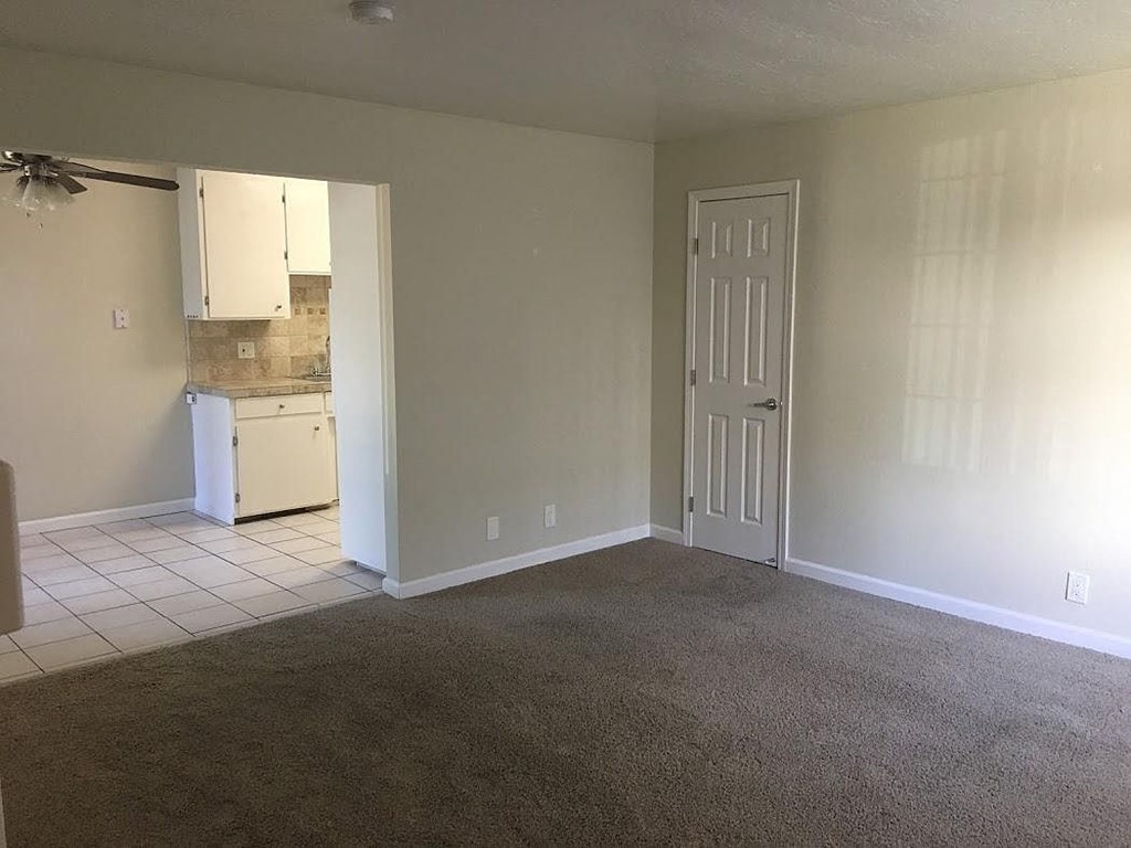 A room with a carpeted floor, a white door, and a white cabinet with a mirror above it.