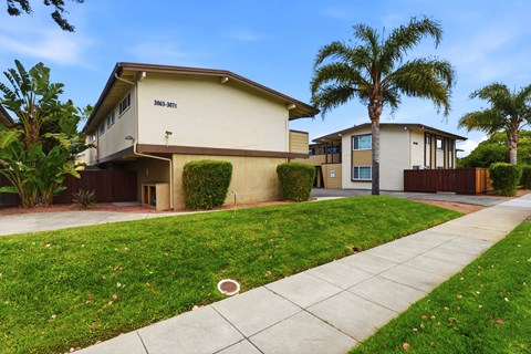 A house with a driveway and a palm tree in front.