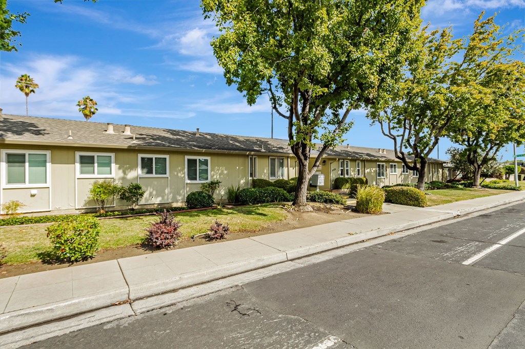 A row of houses with trees in front of them.