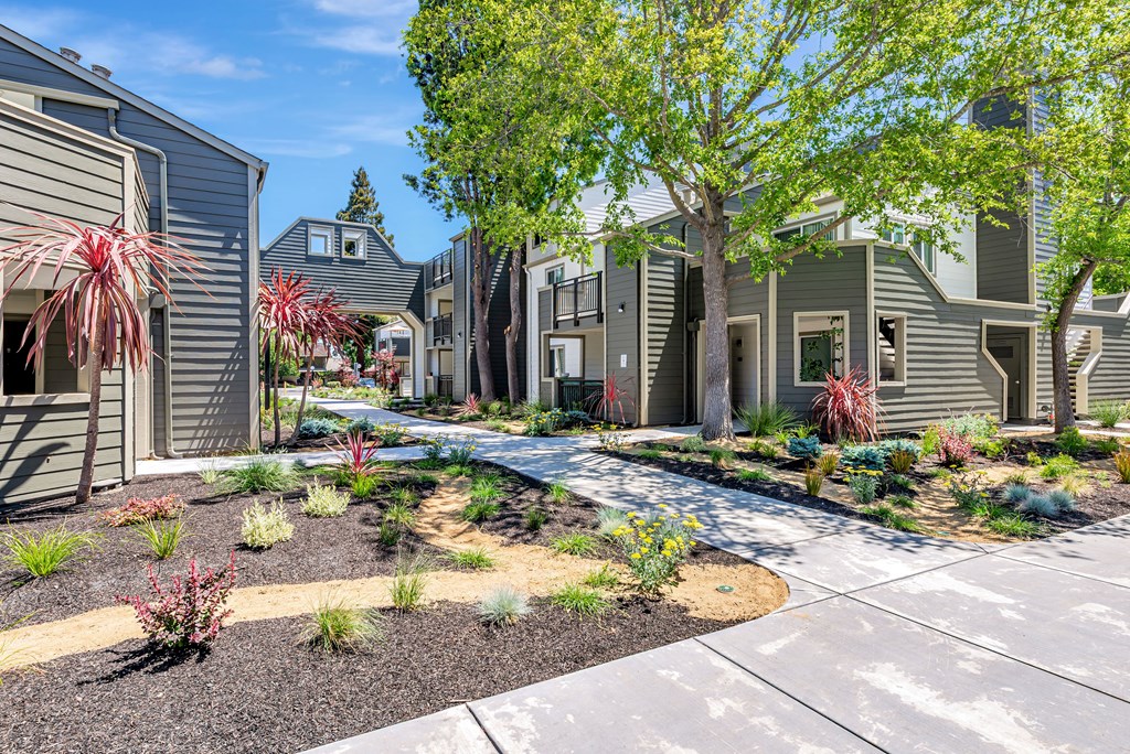 A residential area with houses and a well-maintained garden.
