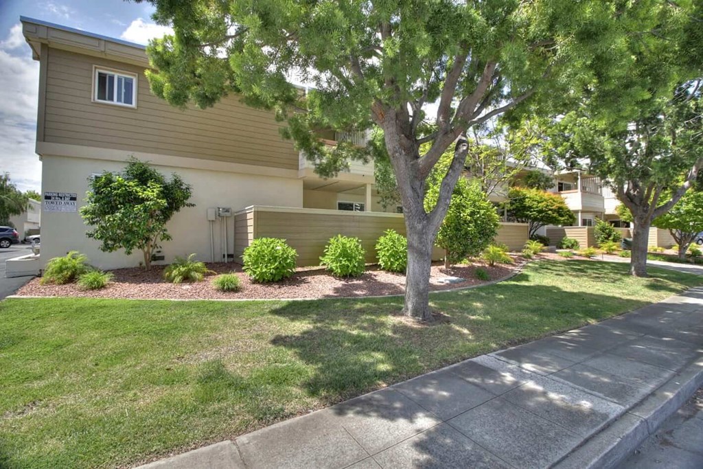 Courtyard Garden Space at Magnolia Place, Sunnyvale, CA, 94087
