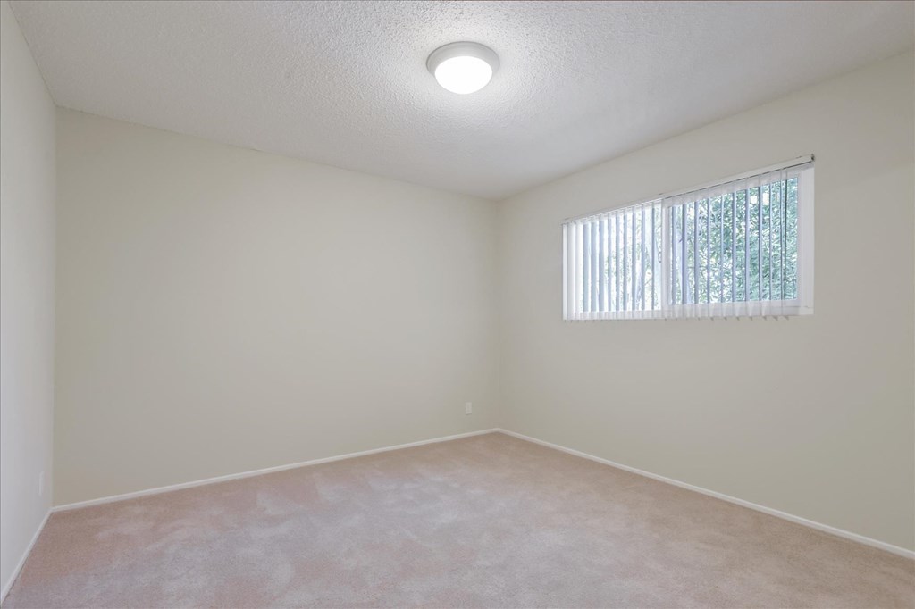an empty living room with a window and carpet