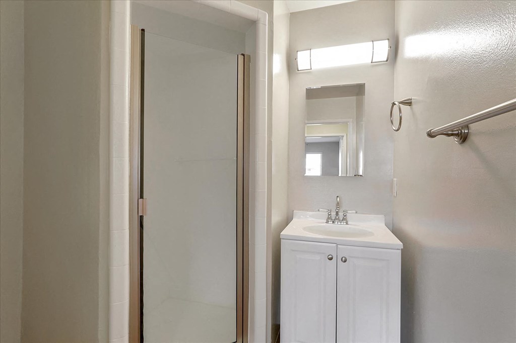 a bathroom with a sink and a shower and a mirror