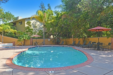A small pool surrounded by a red border and chairs.
