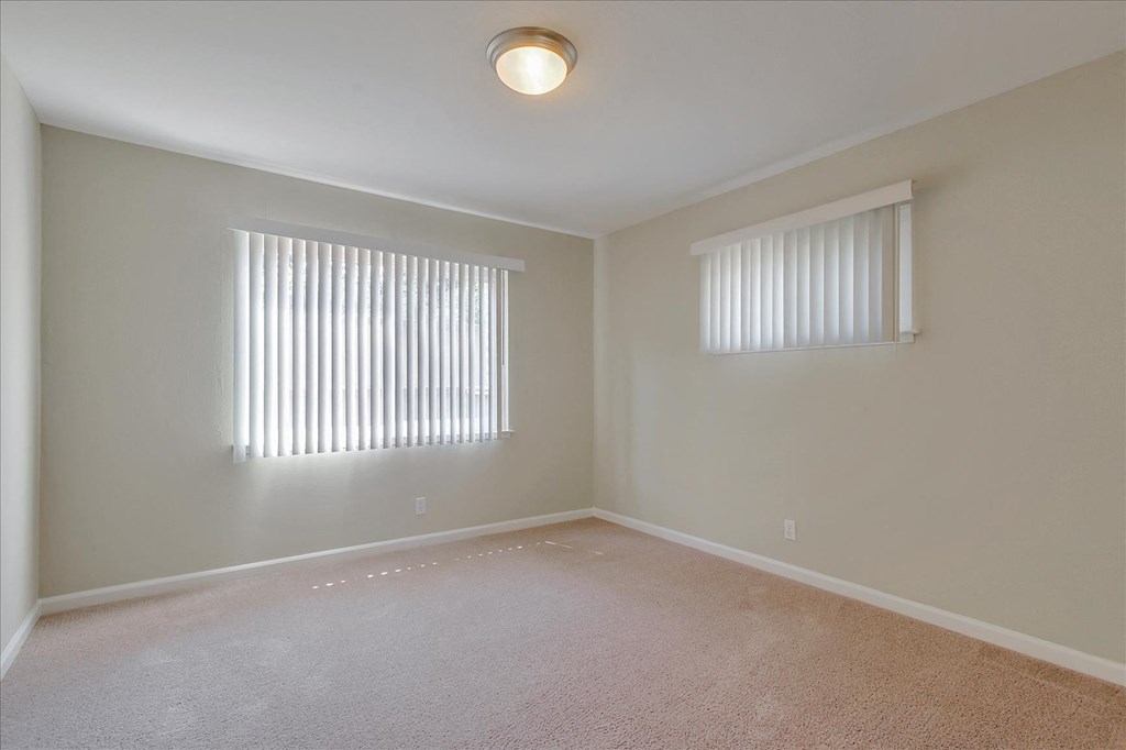 a spacious living room with two windows and a carpeted floor