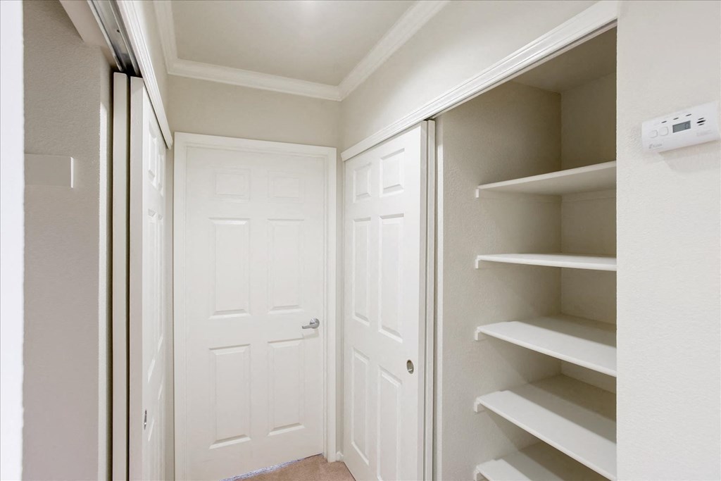A white pantry with a door and shelves.