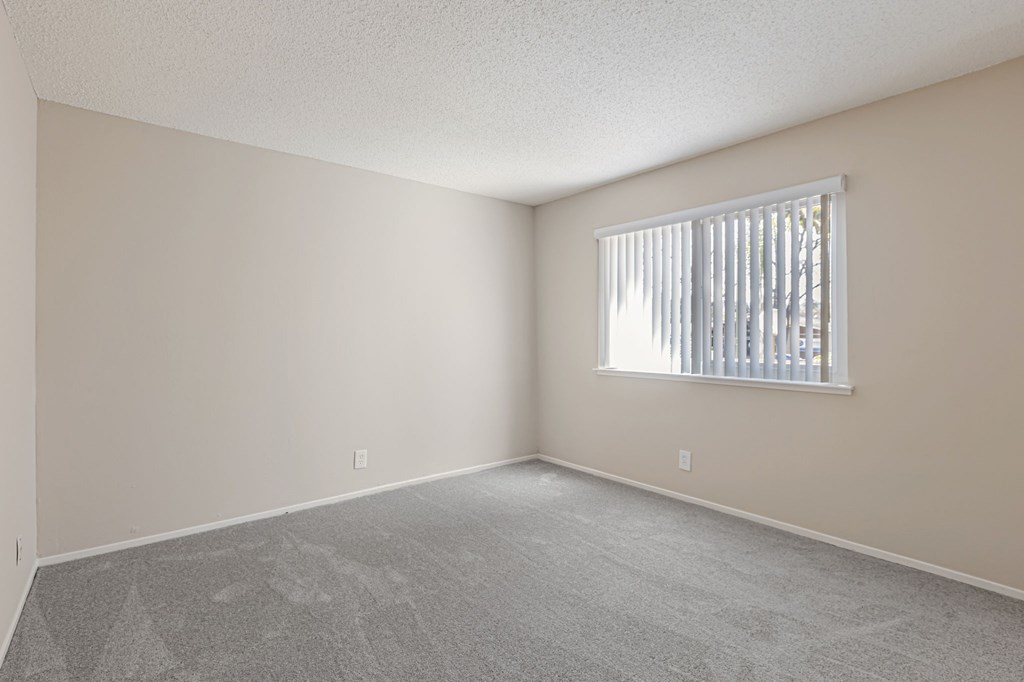 A room with a window and a carpeted floor.