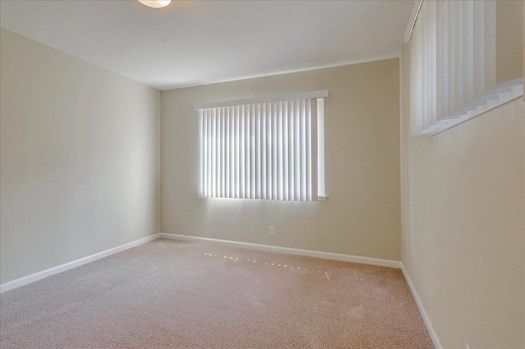 a bedroom with a window and a carpeted floor
