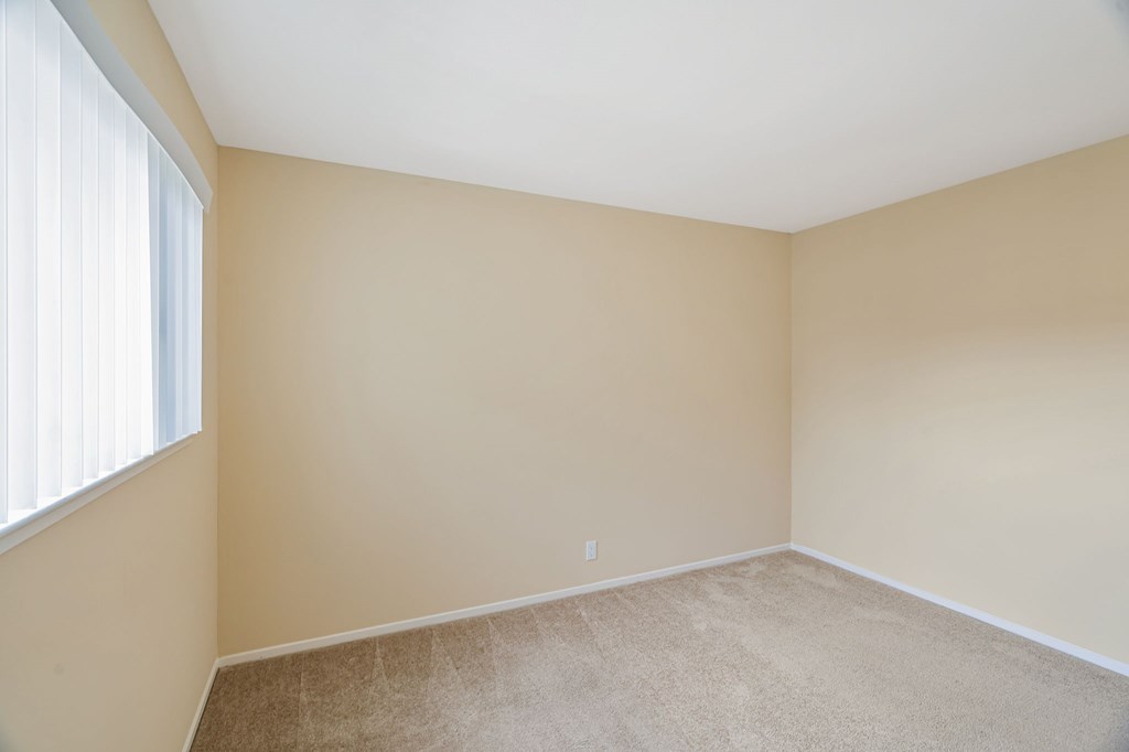 A room with a window and a carpeted floor.