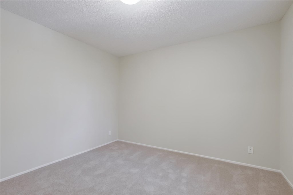 a empty room with white walls and carpet