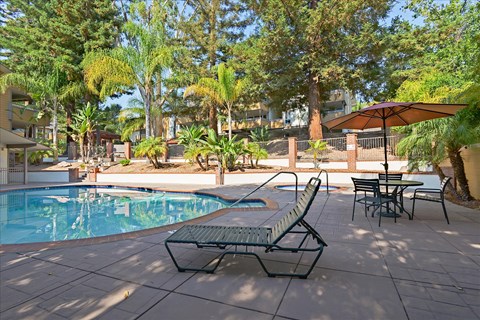 A pool surrounded by trees and a patio with chairs and an umbrella.
