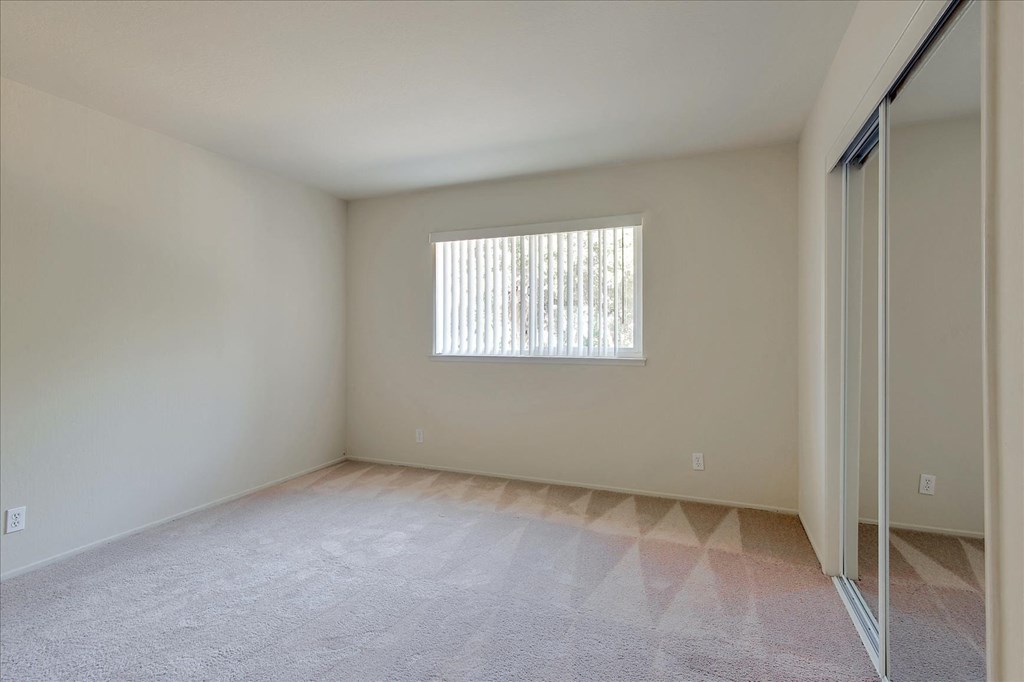 A room with a window and a carpeted floor.