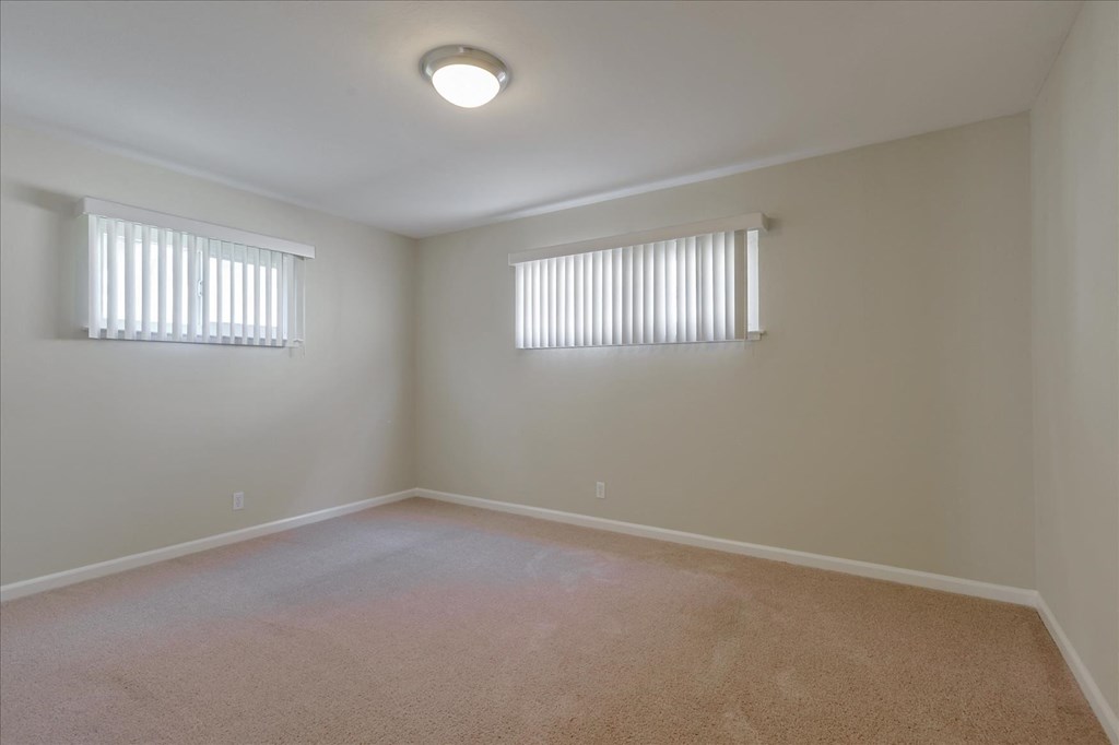 a bedroom with two windows and a carpeted floor