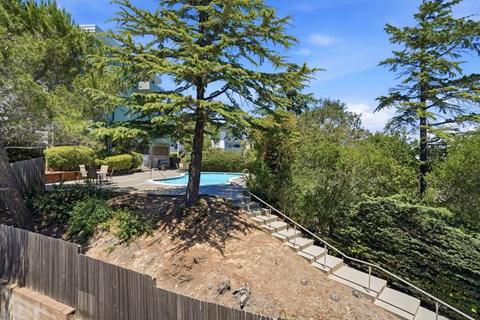 A backyard with a pool and a tree.