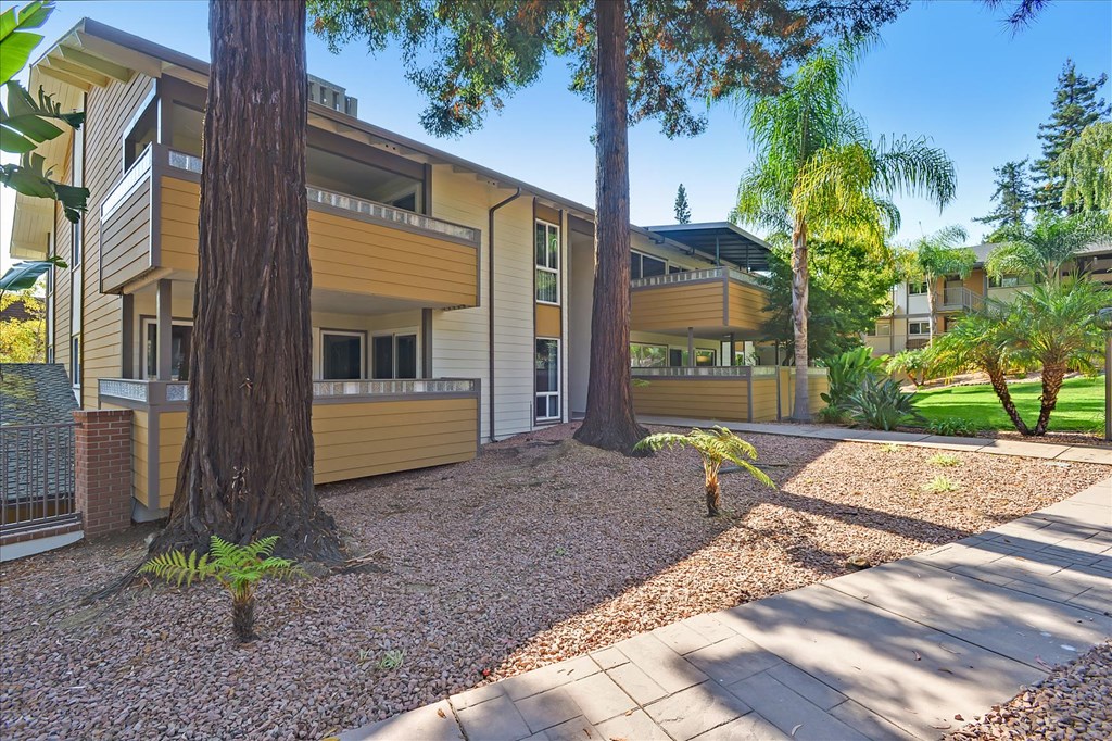 the exterior of a house with trees and a pathway