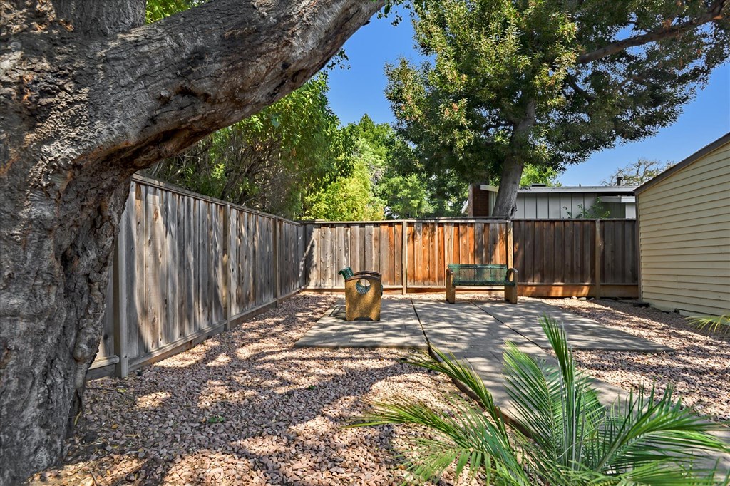A backyard with a wooden fence and a tree.
