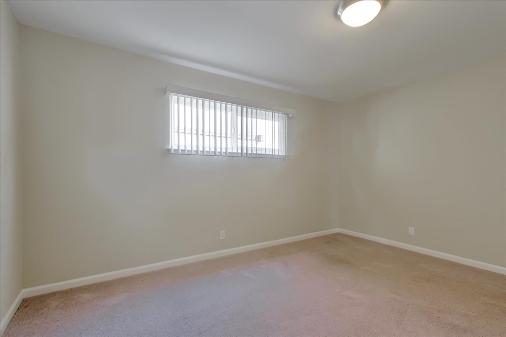 a empty living room with a window and carpet