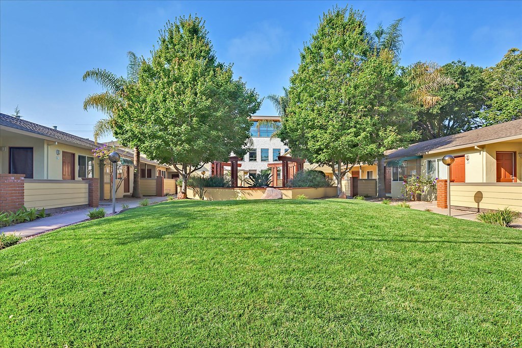 the yard of a house with a lawn and trees