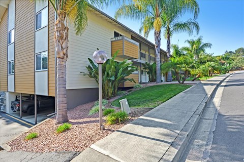 A street view of a residential area with a building on the left and a palm tree in the foreground.