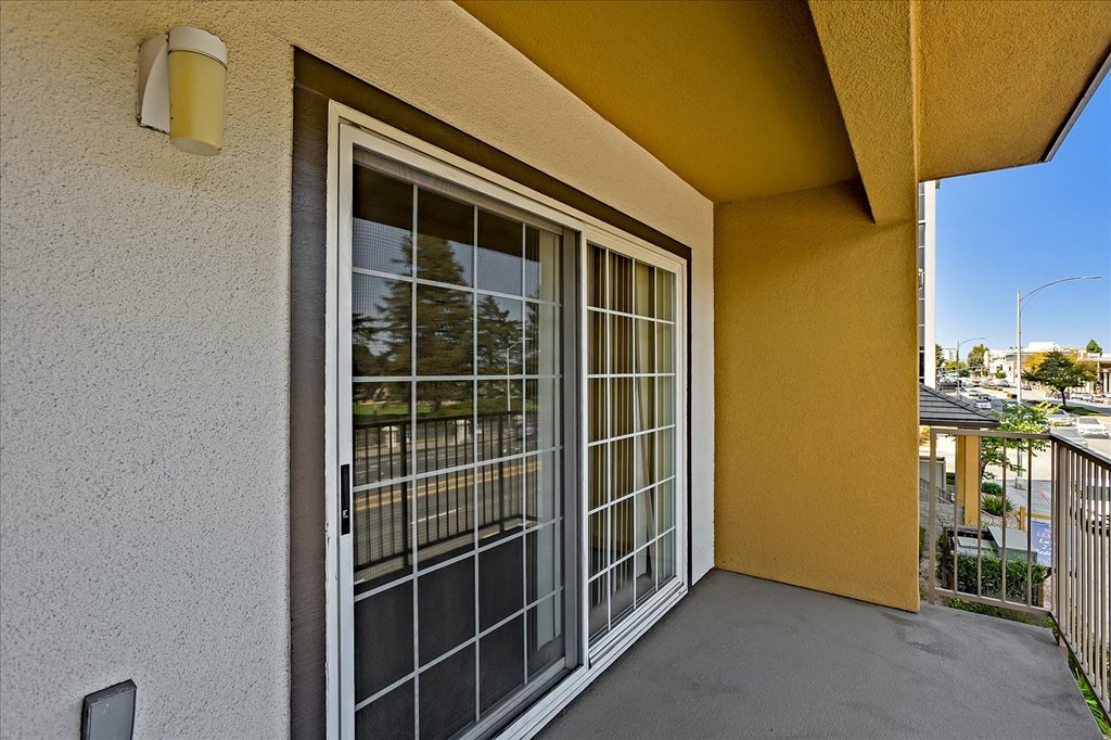 A sliding glass door with a view of a tree outside.