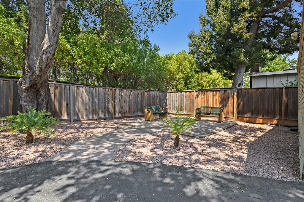 A backyard with a wooden fence and a small tree.