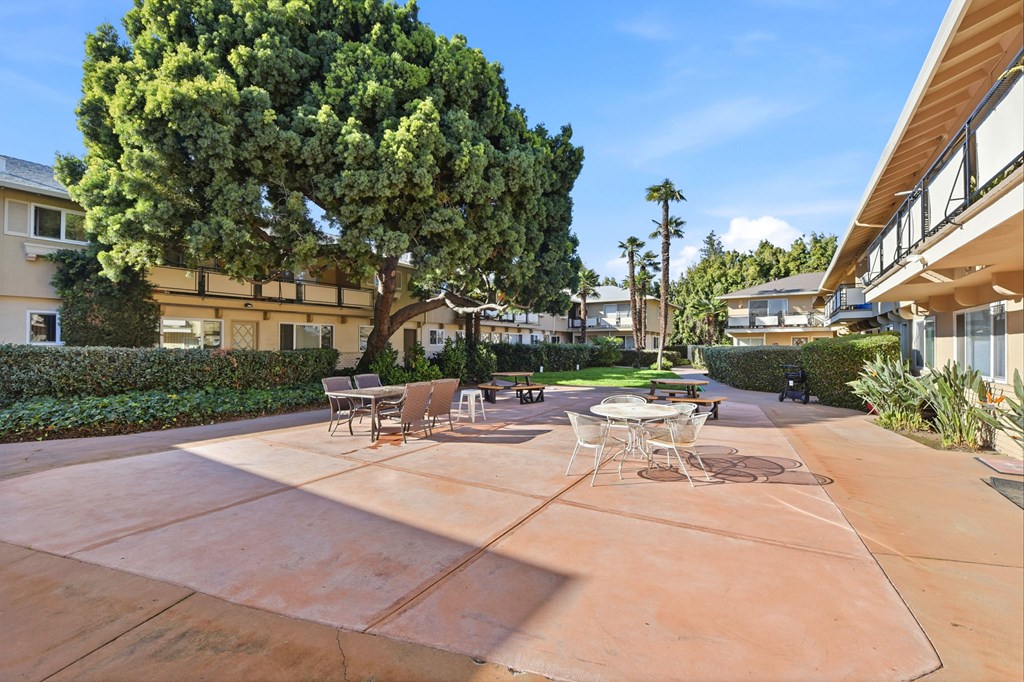 364 And 366 Olive Ave.