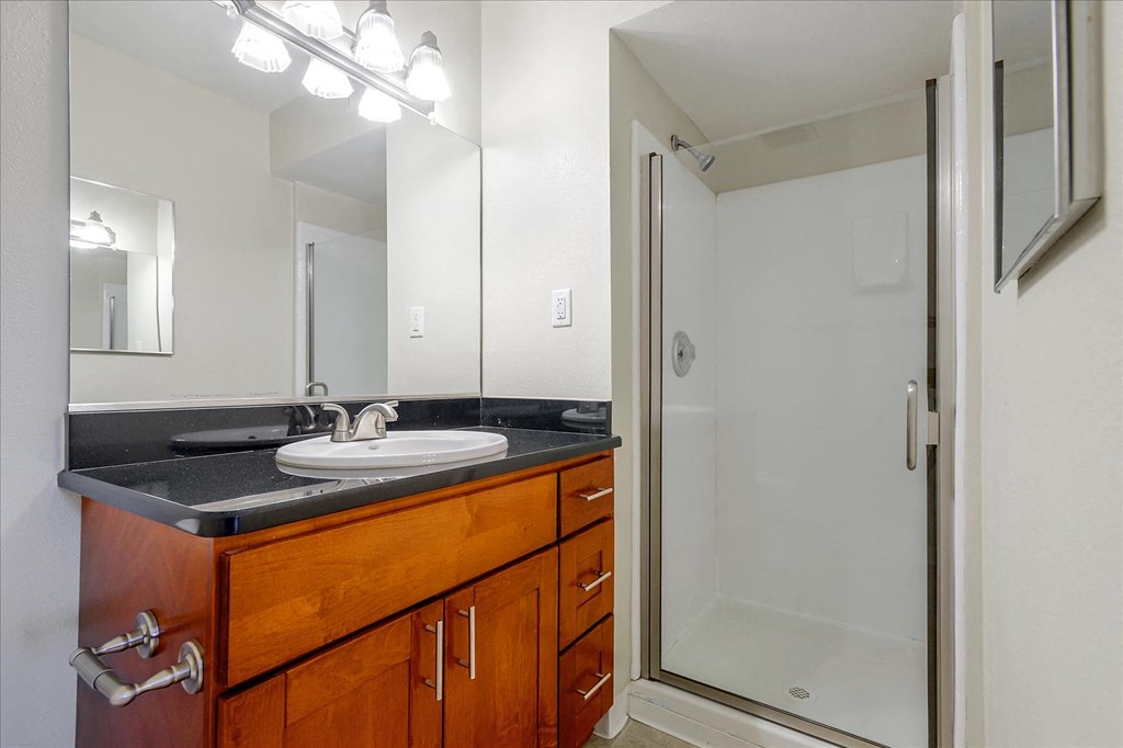 a bathroom with a sink and a shower
