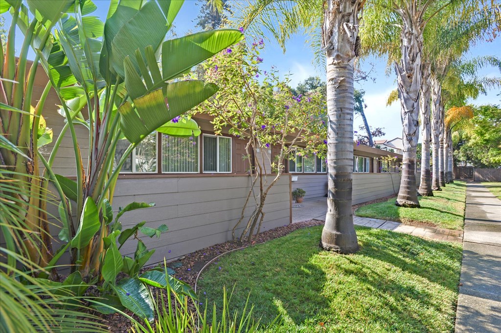 a side view of a house with palm trees and grass