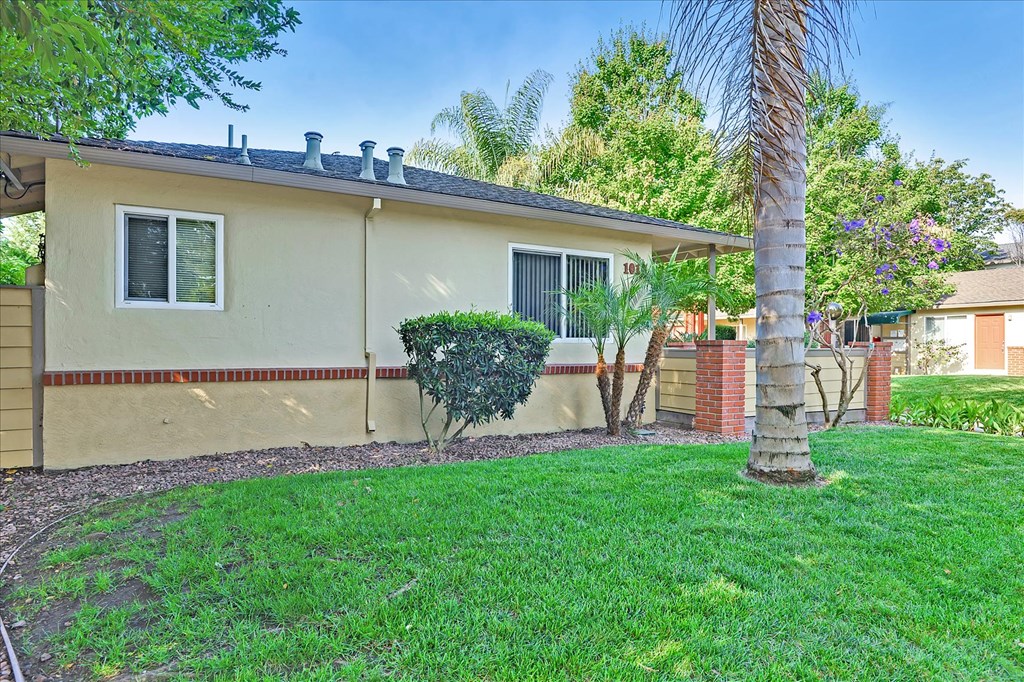 a house with a yard and a palm tree