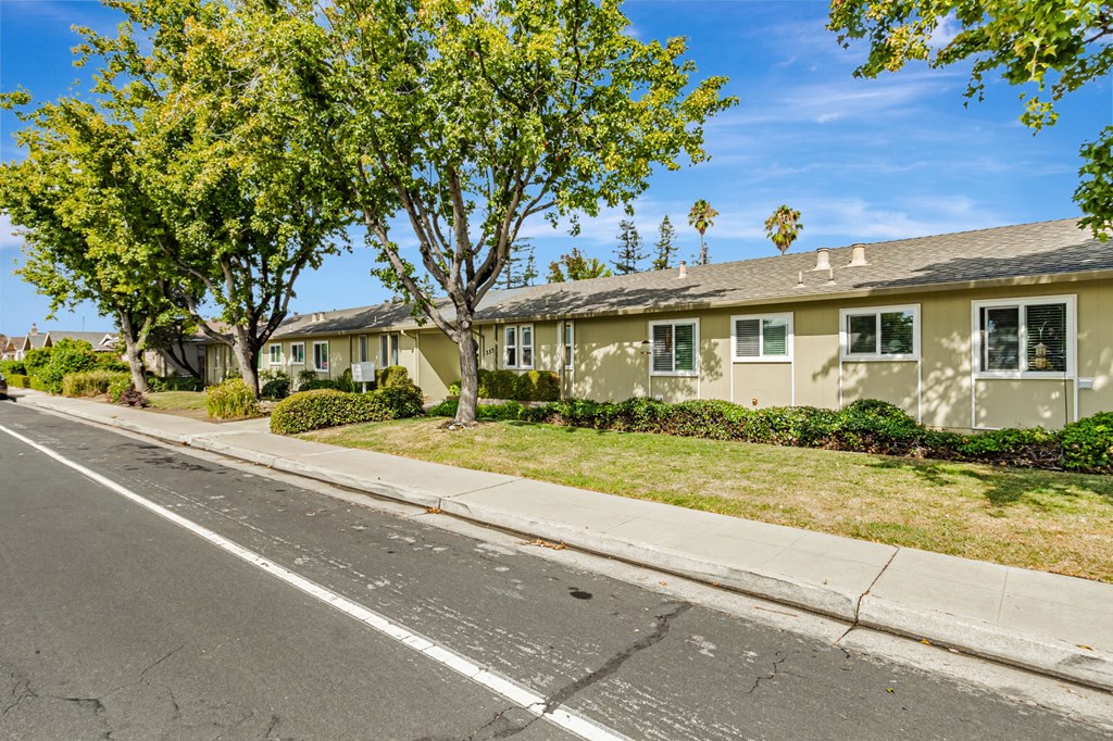 A row of houses with trees in front.