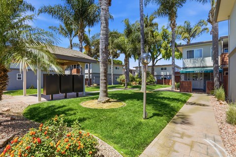 A sunny day at a residential area with palm trees and a well-kept lawn.