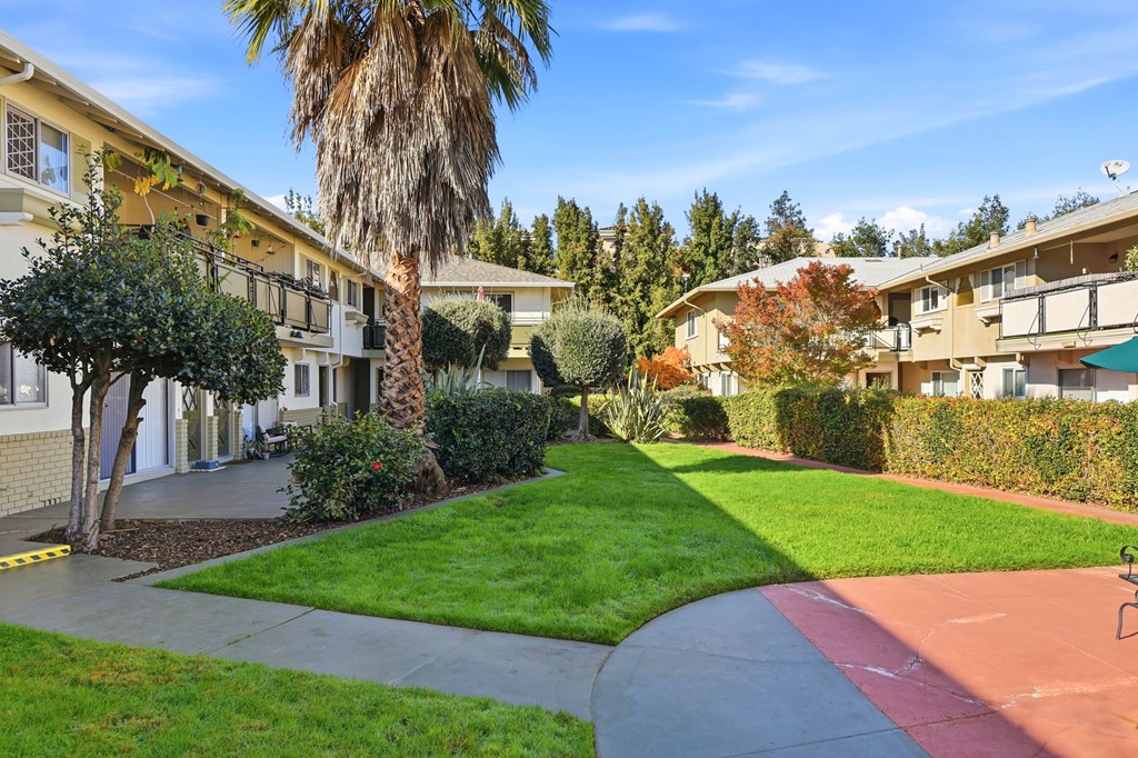 364 And 366 Olive Ave.